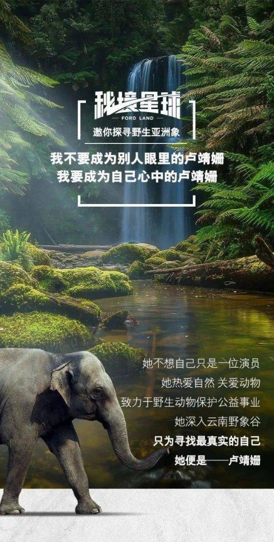 拯救吉他男孩