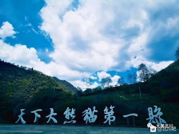 「浅米草三号对人体有害吗?」知识问答网页-解答您的疑问